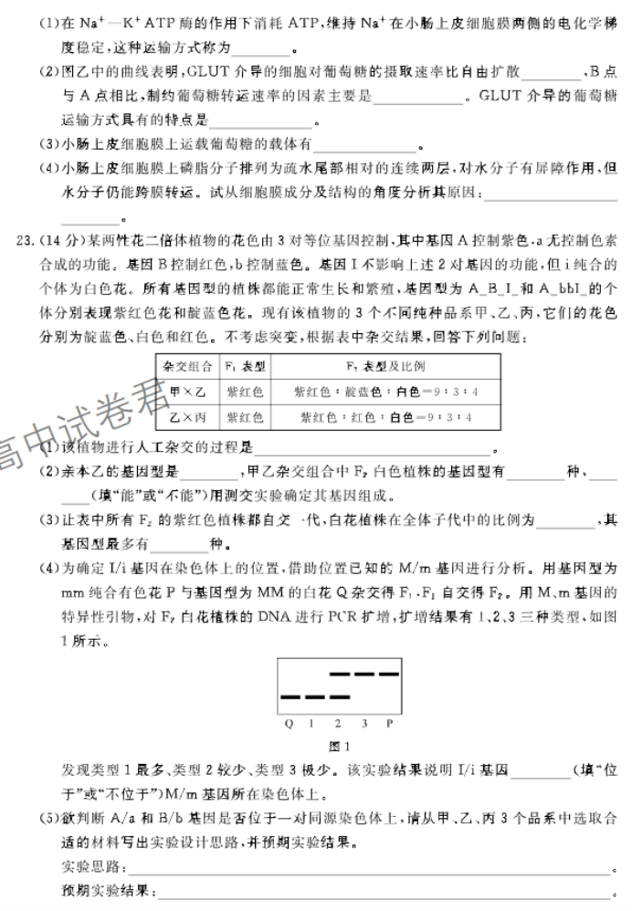 河北邢台部分高中2024高三11月期中考生物试题及答案解析