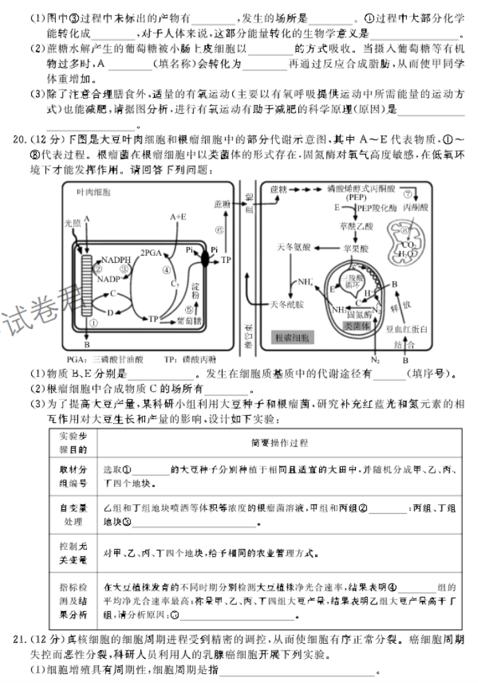 河北邢台部分高中2024高三11月期中考生物试题及答案解析