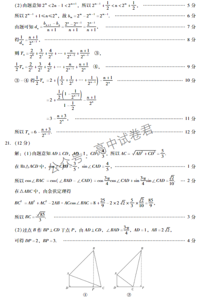 广东肇庆2024高三上学期一模考试数学试题及答案解析