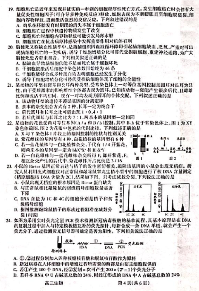 山西吕梁市2024高三一模阶段性测试生物试题及答案解析