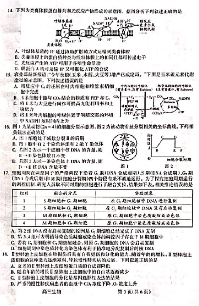 山西吕梁市2024高三一模阶段性测试生物试题及答案解析