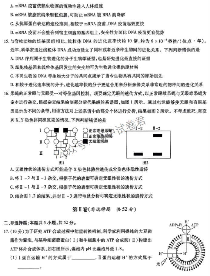 安徽江淮十校2024高三第二次联考生物试题及答案解析