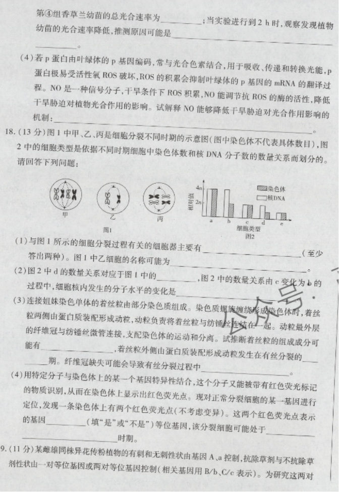 海南天一联考2024高三学业水平诊断一生物试题及答案解析