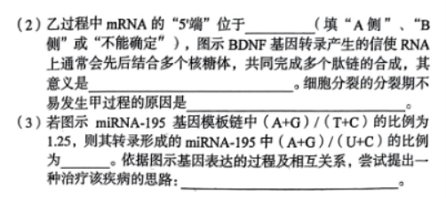 安徽A10联盟2024高三11月阶段考生物试题及答案解析