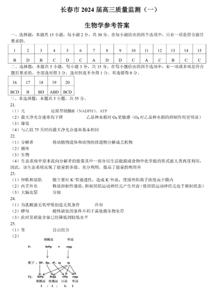 吉林长春2024高三11月一模考试生物试题及答案解析