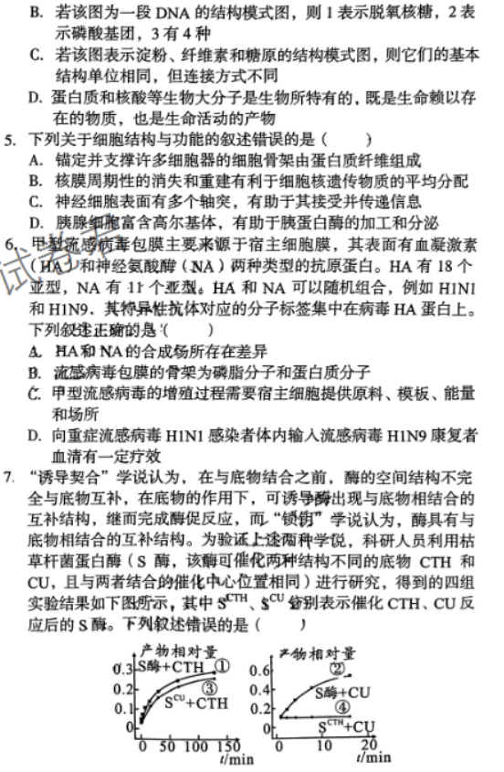 安徽A10联盟2024高三11月阶段考生物试题及答案解析