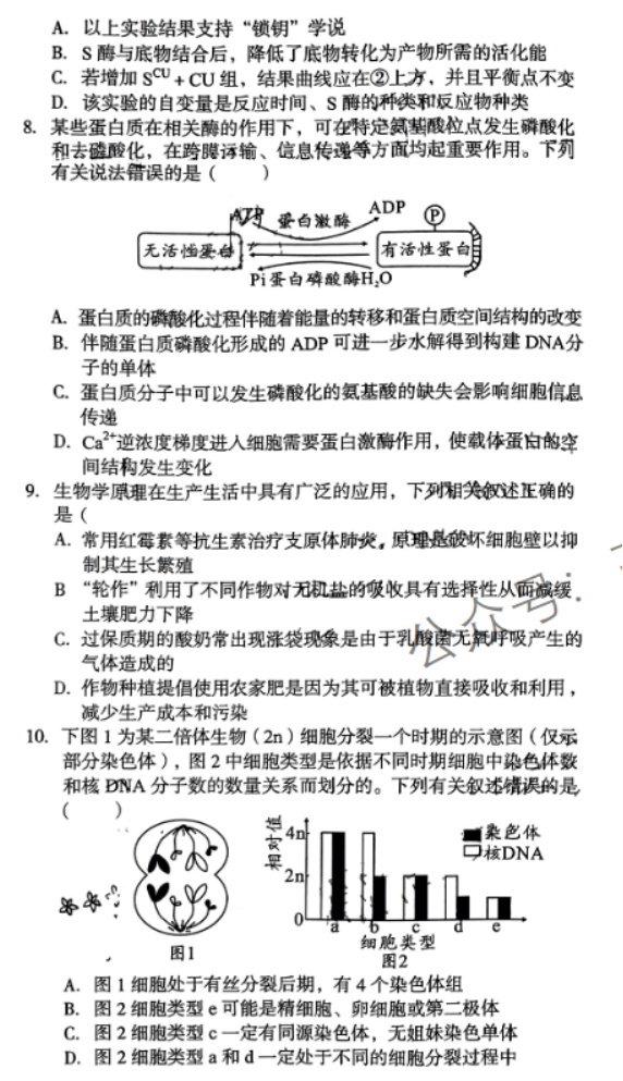 安徽A10联盟2024高三11月阶段考生物试题及答案解析