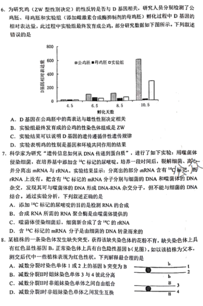 吉林长春2024高三11月一模考试生物试题及答案解析