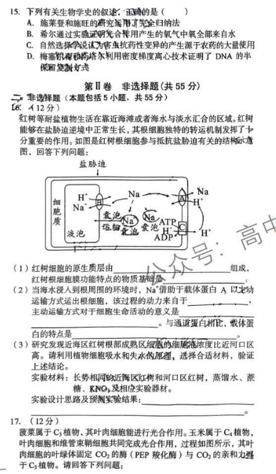 安徽A10联盟2024高三11月阶段考生物试题及答案解析