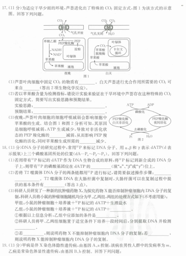 福建宁德金太阳2024高三期中质量检测生物试题及答案解析