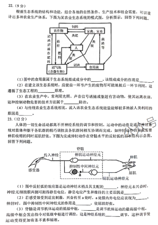 吉林长春2024高三11月一模考试生物试题及答案解析