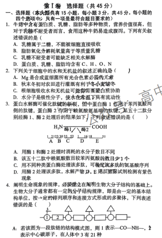 安徽A10联盟2024高三11月阶段考生物试题及答案解析