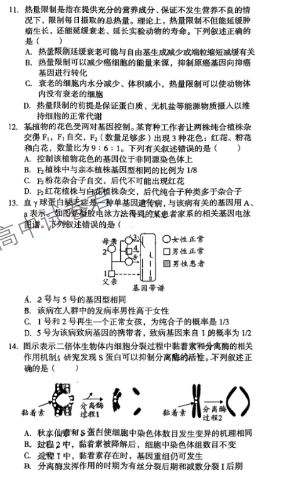 安徽A10联盟2024高三11月阶段考生物试题及答案解析