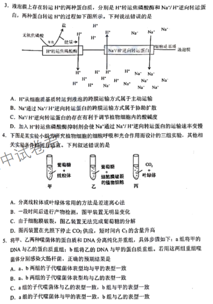 吉林长春2024高三11月一模考试生物试题及答案解析