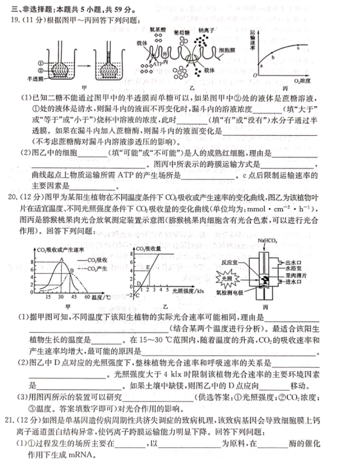 河北沧州三县联考2024高三11月月考生物试题及答案解析