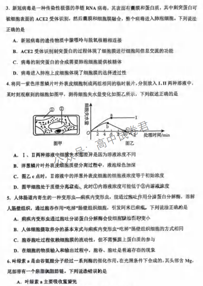 重庆市渝中区2024高三上学期期中考试生物试题及答案解析