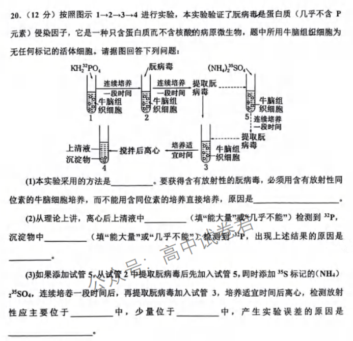 重庆市渝中区2024高三上学期期中考试生物试题及答案解析