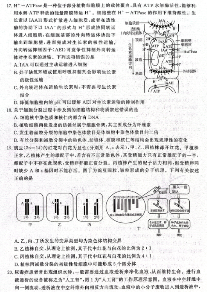 山东名校***2024高三期中检测生物试题及答案解析