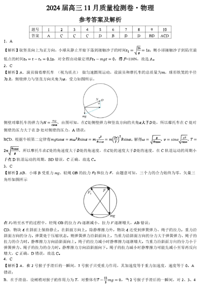 安徽徽师联盟2024高三11月质量检测物理试题及答案解析