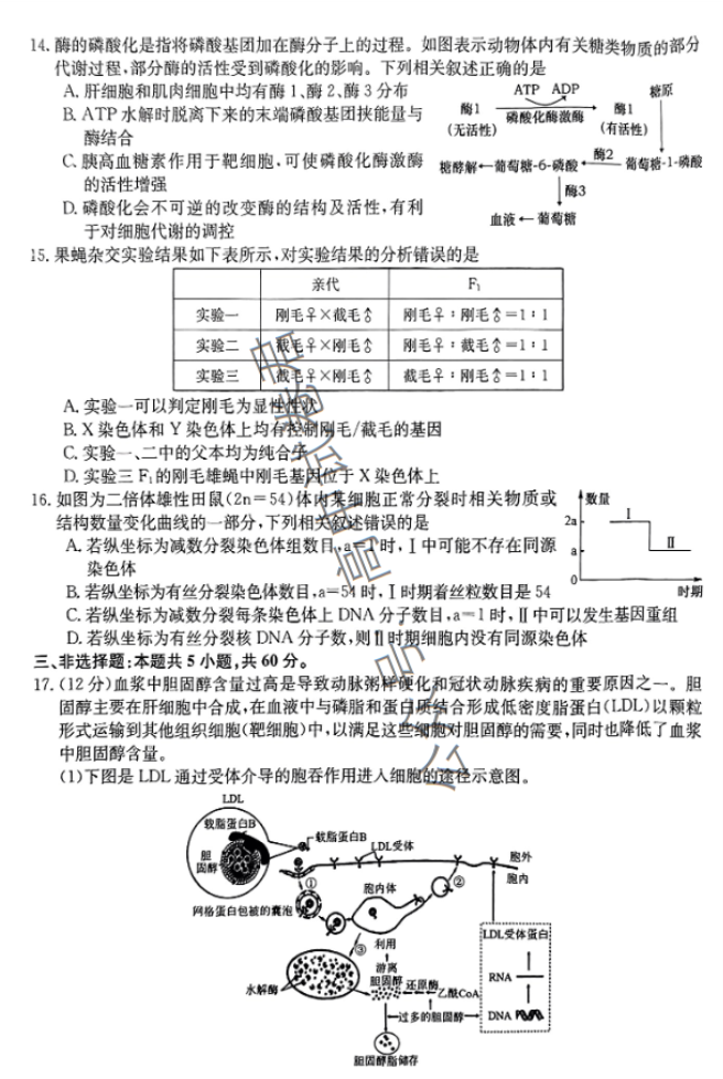 安徽蒙城县五校联盟2024高三期中联考生物试题及答案解析