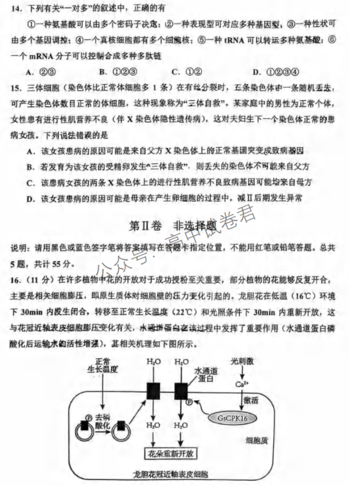 重庆市渝中区2024高三上学期期中考试生物试题及答案解析