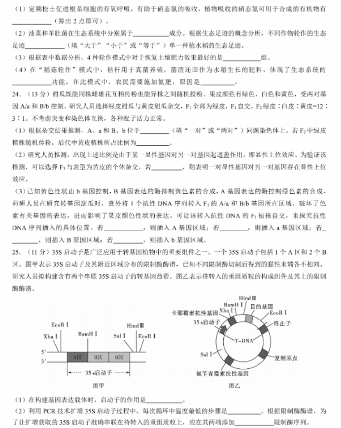 名校教研联盟2024高三11月联考生物试题及答案解析