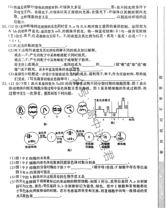 安徽蒙城县五校联盟2024高三期中联考生物试题及答案解析