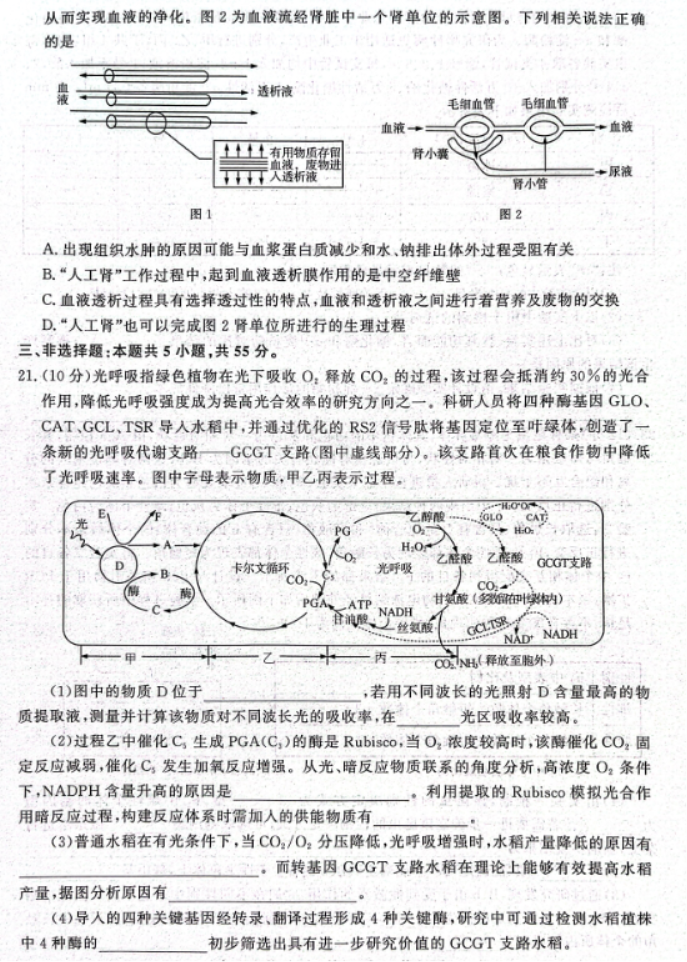 山东名校***2024高三期中检测生物试题及答案解析