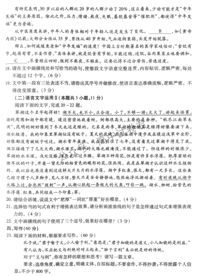 江西稳派2024高三11月一轮总复习调研语文试题及答案解析