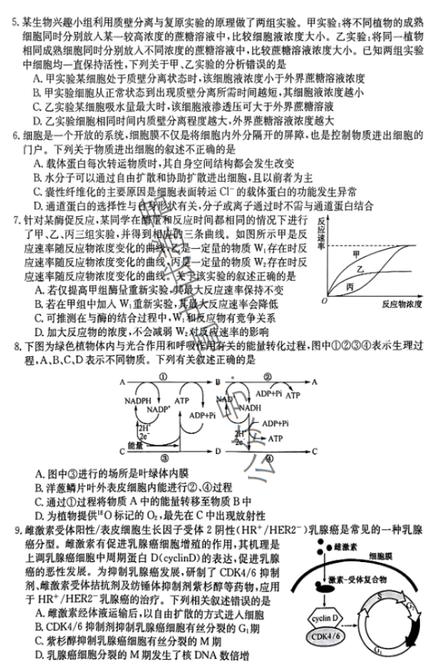 安徽蒙城县五校联盟2024高三期中联考生物试题及答案解析