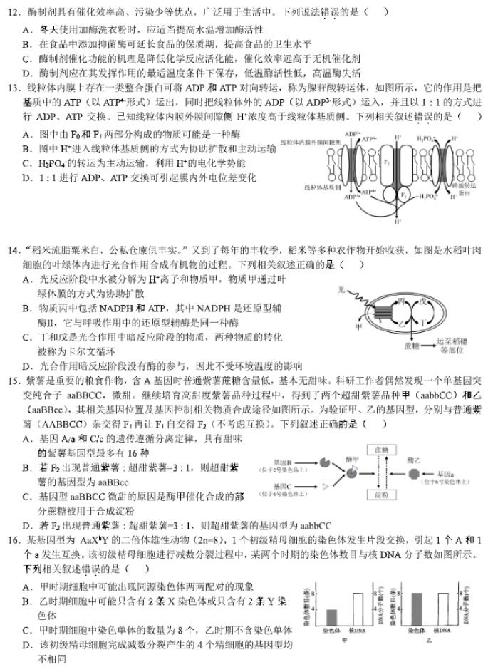 安徽徽师联盟2024高三11月质量检测生物试题及答案解析