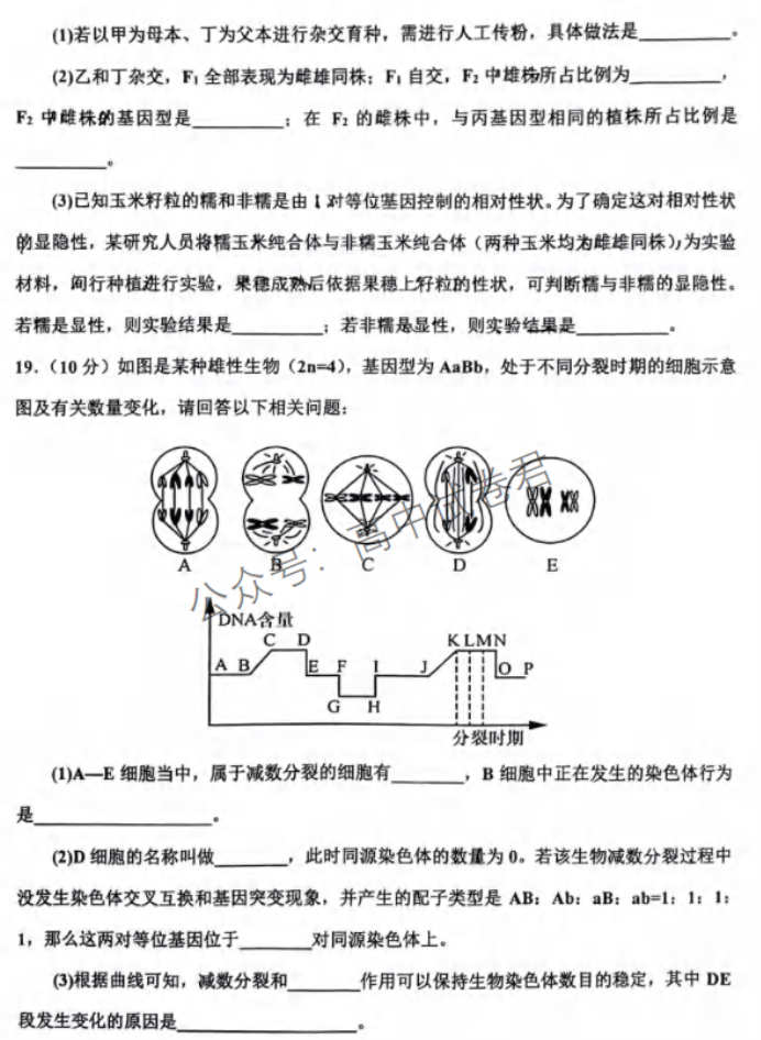 重庆市渝中区2024高三上学期期中考试生物试题及答案解析