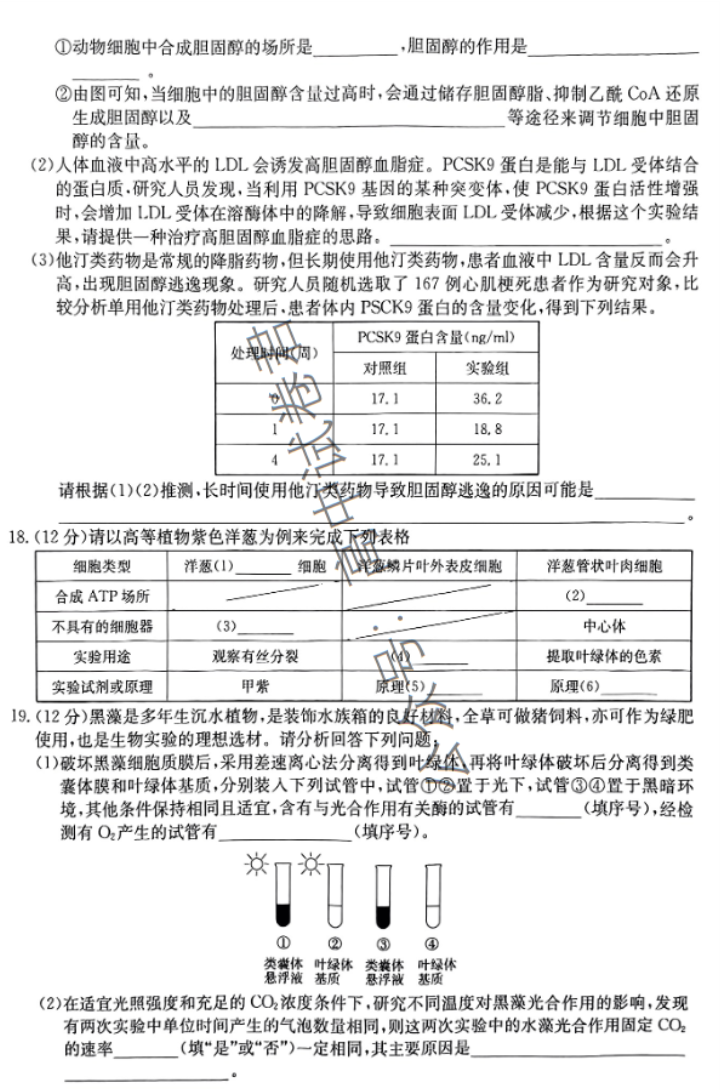 安徽蒙城县五校联盟2024高三期中联考生物试题及答案解析