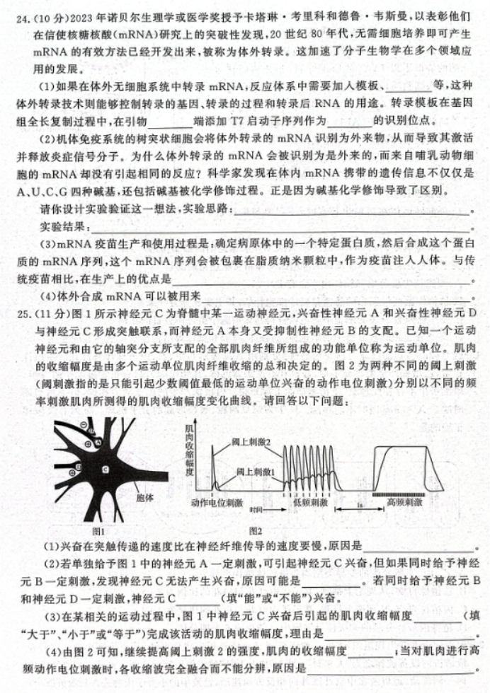 山东名校***2024高三期中检测生物试题及答案解析