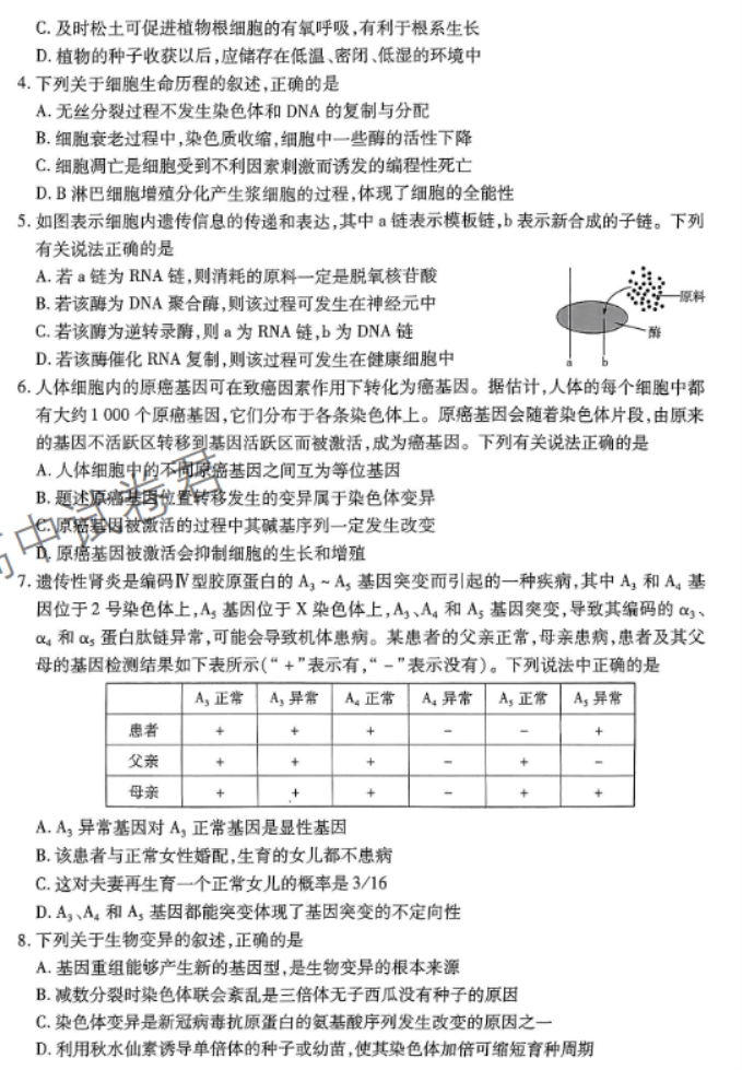 河南天一大联考2024高三阶段性测试三生物试题及答案解析