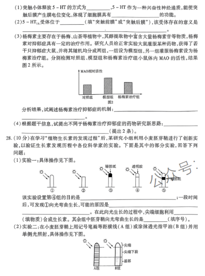 河南天一大联考2024高三阶段性测试三生物试题及答案解析