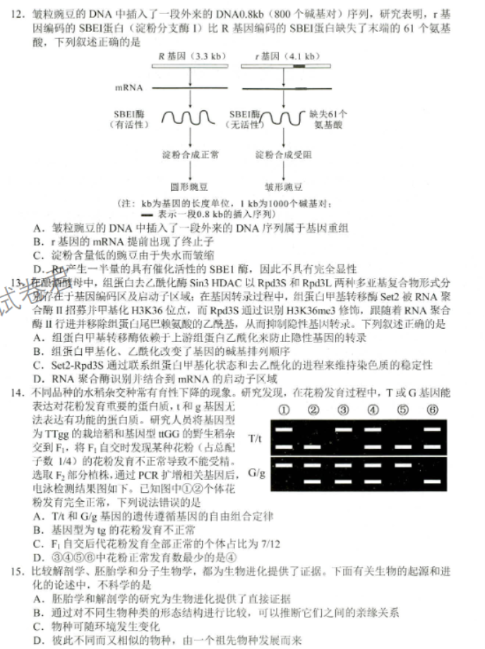 山东省菏泽市2024高三11月期中考试生物试题及答案解析