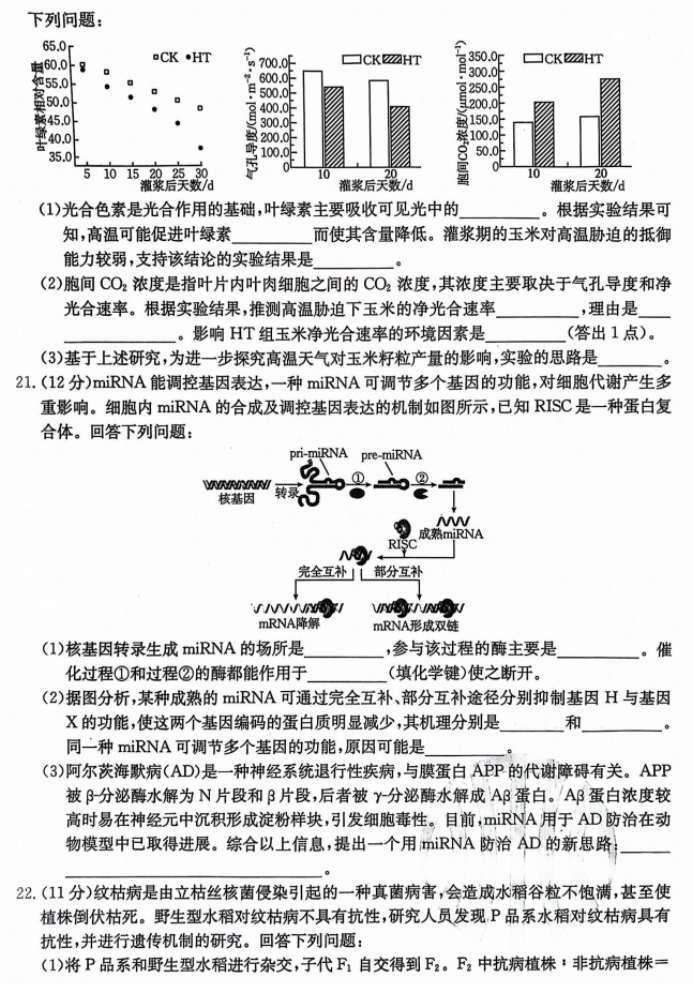 河北沧衡八校联盟2024高三11月期中考生物试题及答案解析