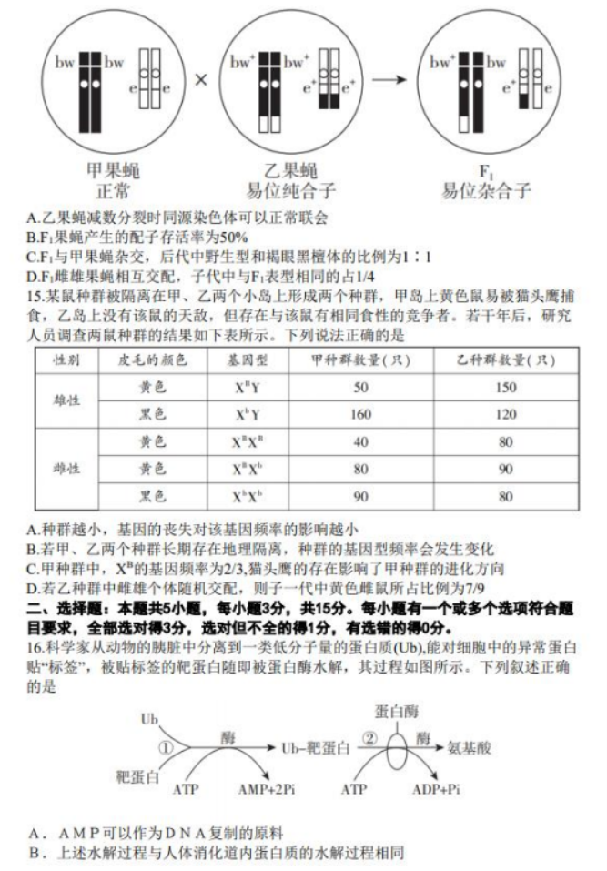 山东临沂市2024高三上学期期中考试生物试题及答案解析