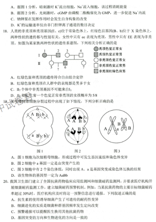 山东省菏泽市2024高三11月期中考试生物试题及答案解析