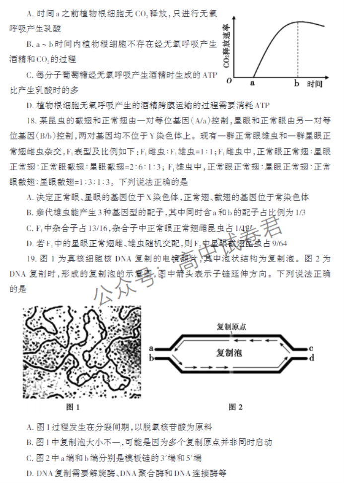 山东泰安市2024高三11月期中考试生物试题及答案解析