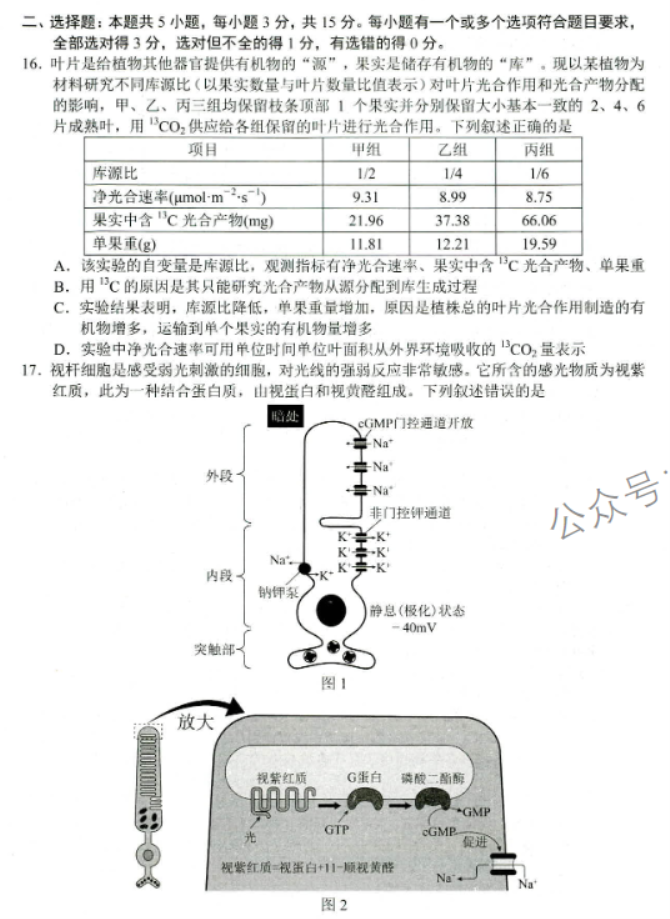 山东省菏泽市2024高三11月期中考试生物试题及答案解析