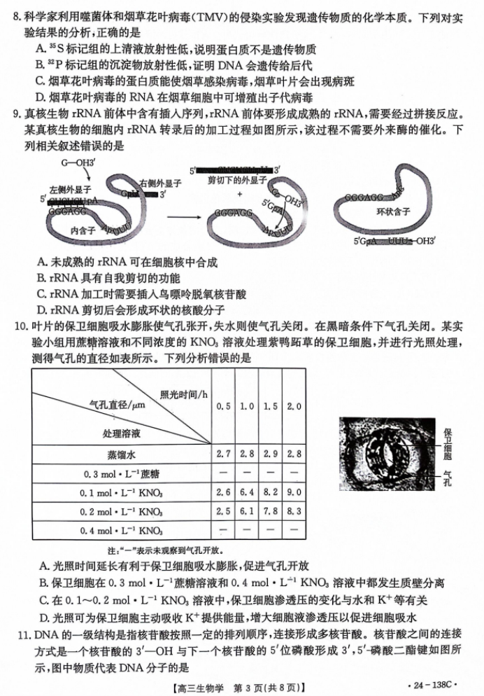 河北沧衡八校联盟2024高三11月期中考生物试题及答案解析