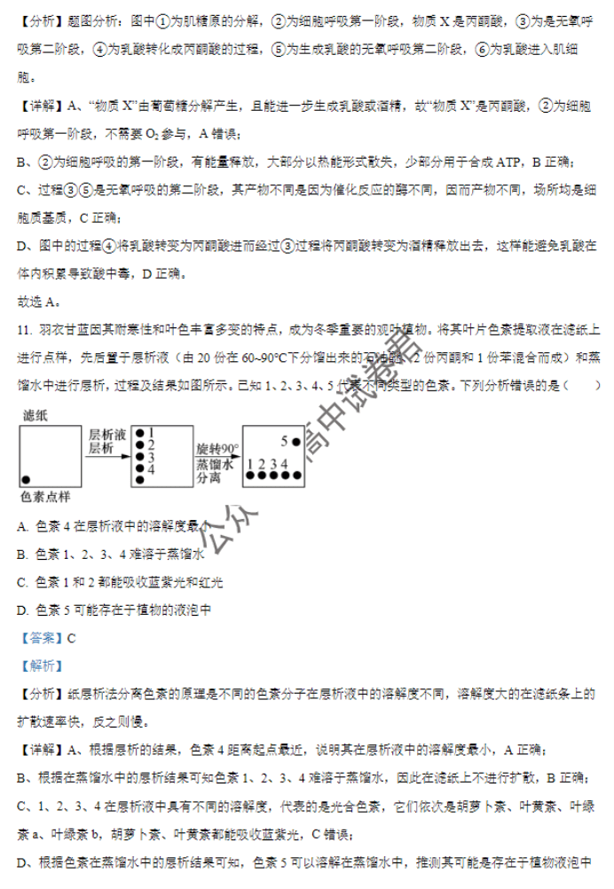 天津北辰区2024高三上学期第一次联考生物试题及答案解析