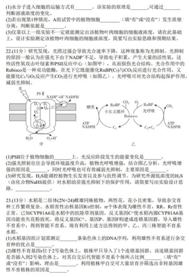 山东临沂市2024高三上学期期中考试生物试题及答案解析