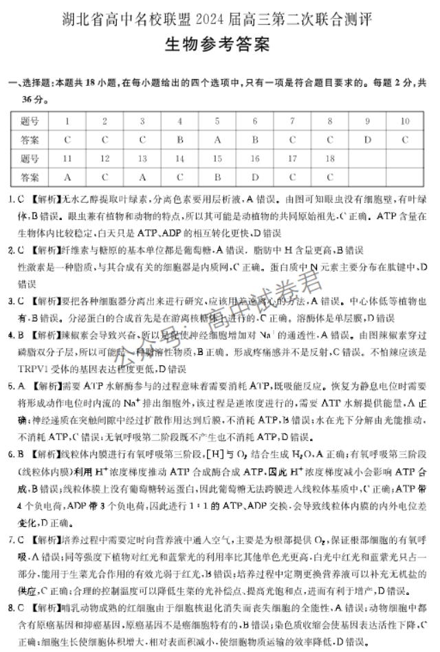 湖北圆创联盟2024高三第二次联合测评生物试题及答案解析