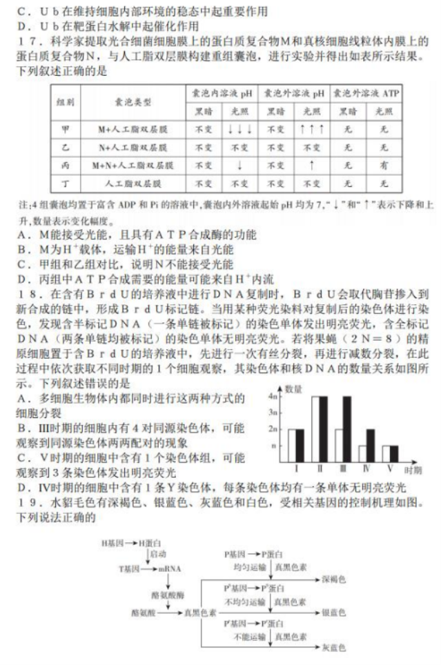 山东临沂市2024高三上学期期中考试生物试题及答案解析