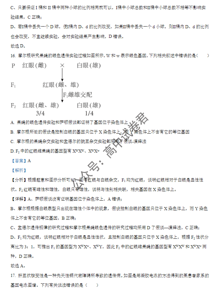 天津北辰区2024高三上学期第一次联考生物试题及答案解析