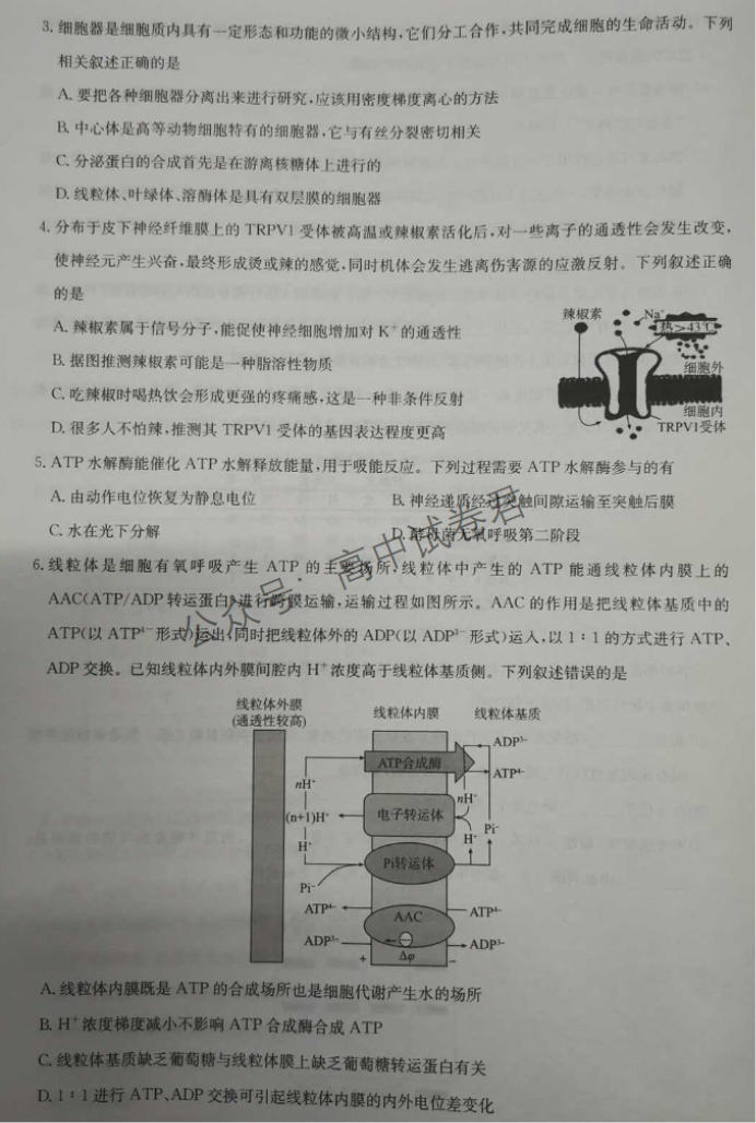 湖北圆创联盟2024高三第二次联合测评生物试题及答案解析