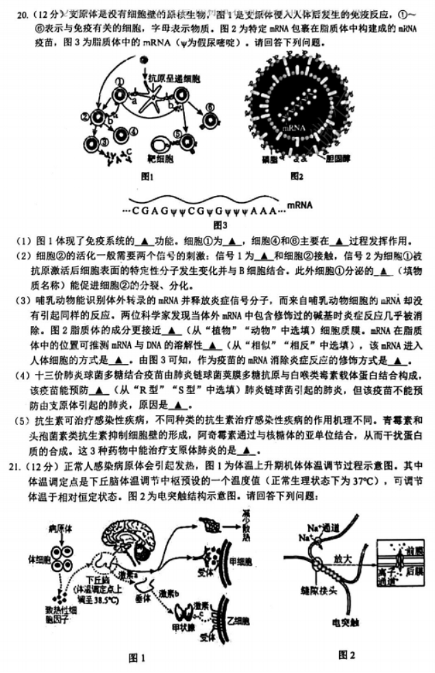 江苏连云港市2024高三上学期期中考试生物试题及答案解析